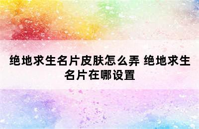 绝地求生名片皮肤怎么弄 绝地求生名片在哪设置